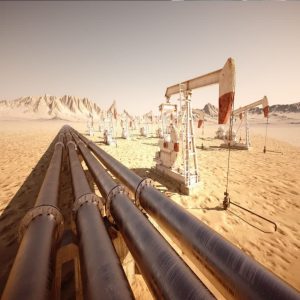 photo12421706769 (2)